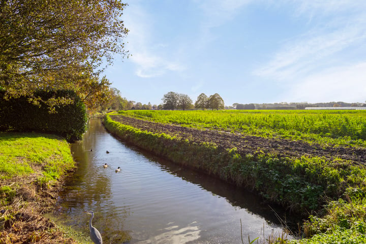 Bekijk foto 35 van Singel 27