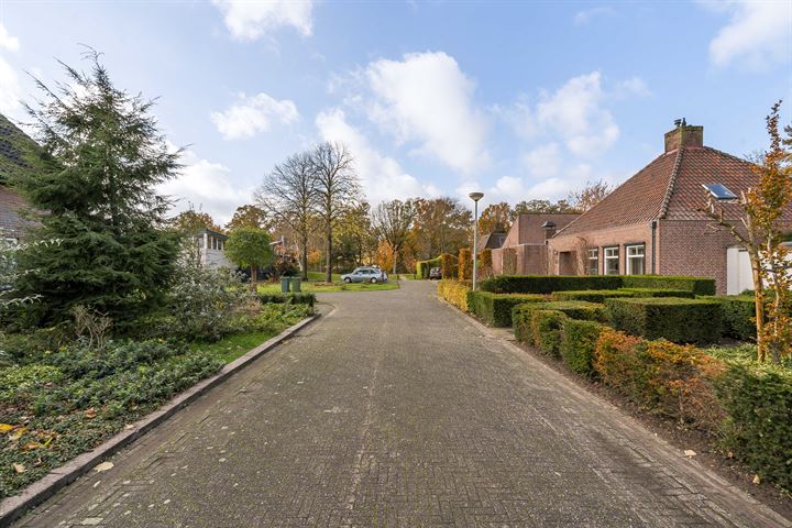 Bekijk foto 46 van Alexanderstraat 20