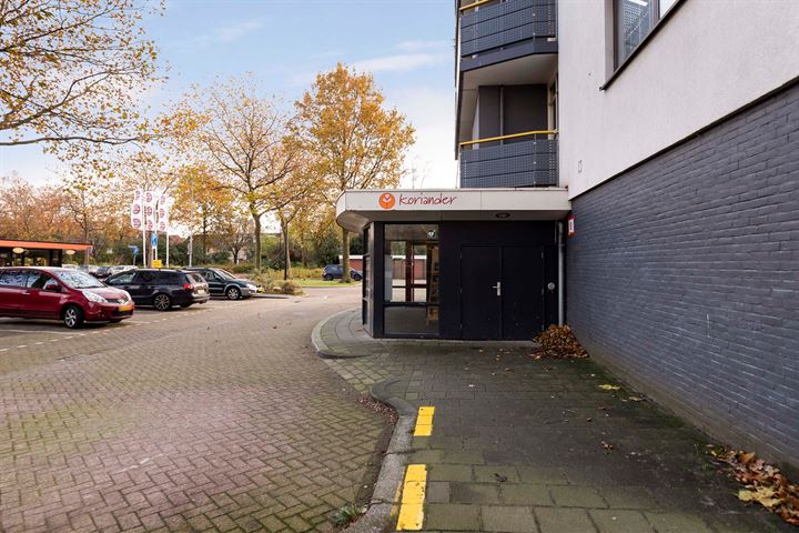 Bekijk foto 30 van Korianderstraat 100