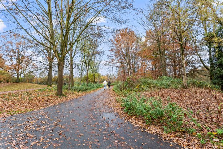 Bekijk foto 41 van Korianderstraat 22