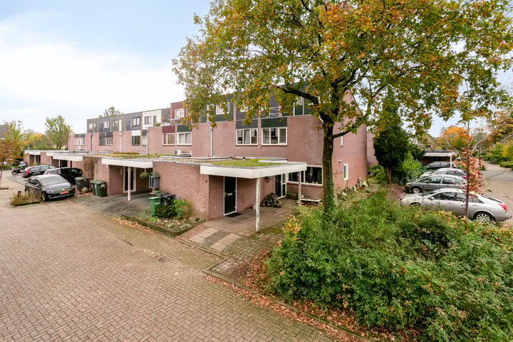 Het Eiland 19