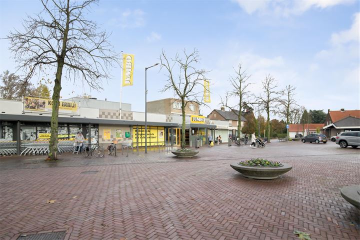 Bekijk foto 33 van Antilopestraat 42