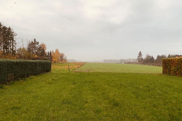 Bekijk foto 1 van Brugweg 36