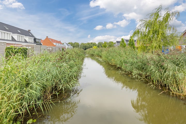 Bekijk foto 36 van Hoefblad 25