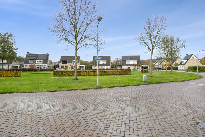 Foto 41 van Klaver 1