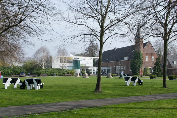 Bekijk foto 31 van Generaal Bothastraat 124