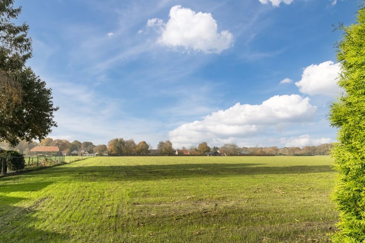 Bekijk foto 41 van Goedentijd 15