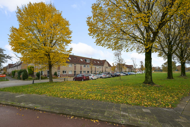 Bekijk foto 1 van Edamstraat 41