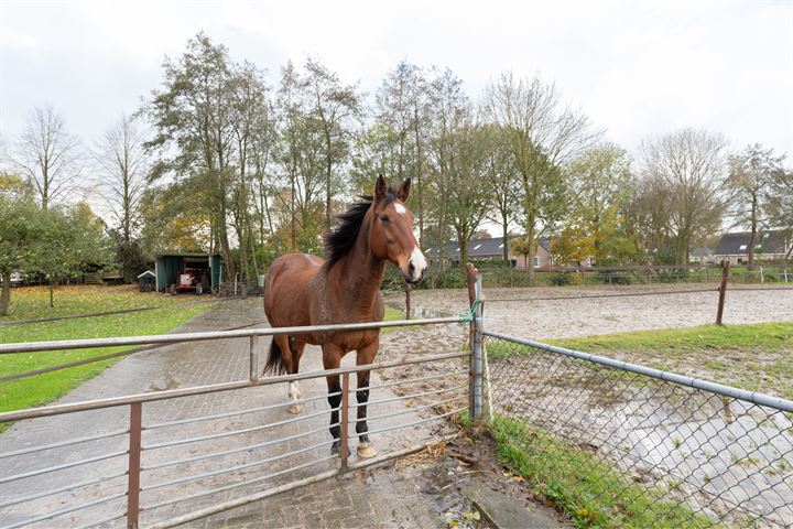 Bekijk foto 3 van Zandumerweg 34