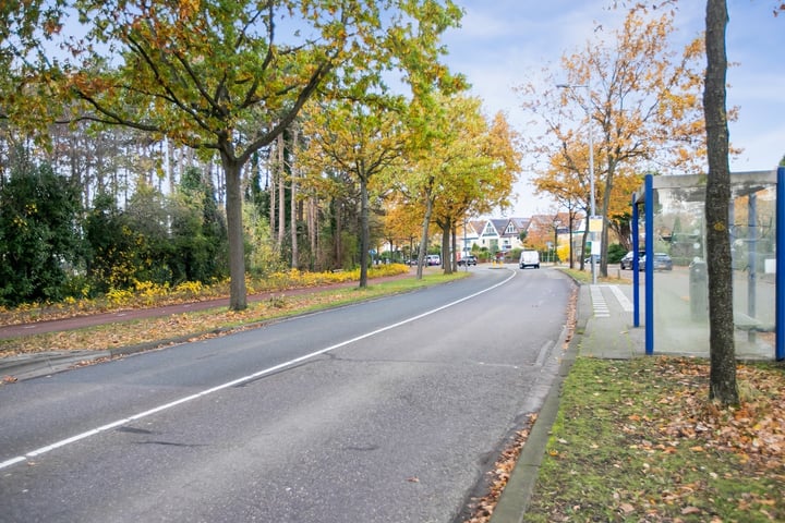 Bekijk foto 48 van Harwichweg 192