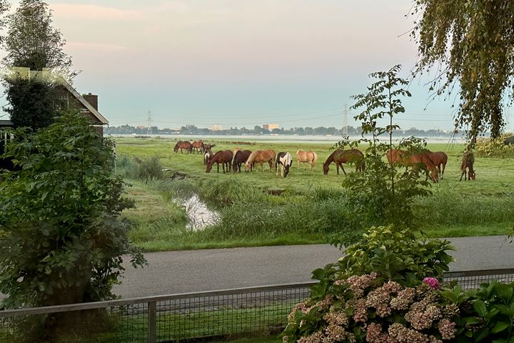 Bekijk foto 39 van van Beekstraat 271