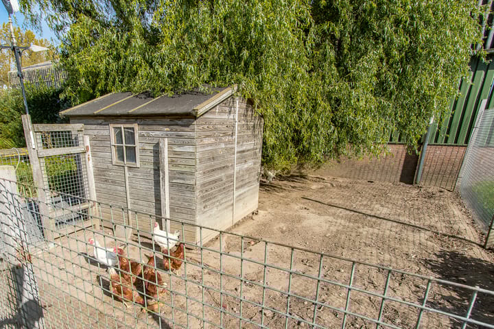 Foto 53 van Nieuwe Steeg 12