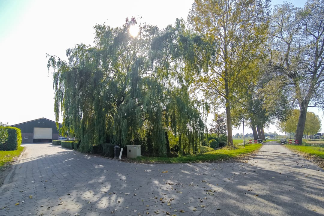 Foto 62 van Nieuwe Steeg 12