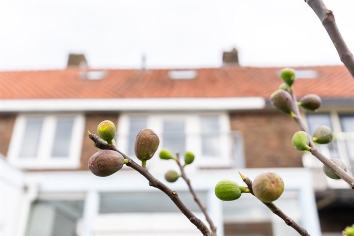 Bekijk foto 38 van Noordewierweg 126