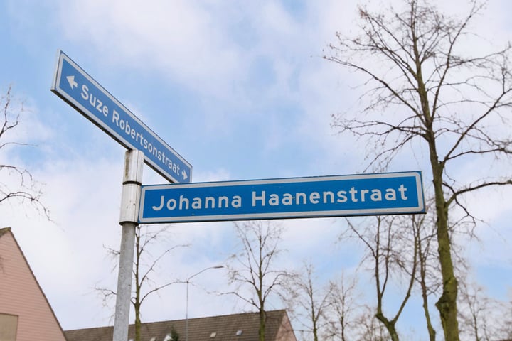 Bekijk foto 4 van Johanna Haanenstraat 14