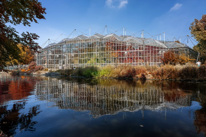 Bekijk foto 3 van Hortusplantsoen 40