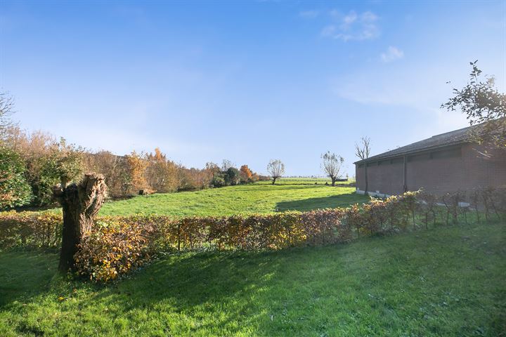 Bekijk foto 49 van Zuidzijdseweg 166