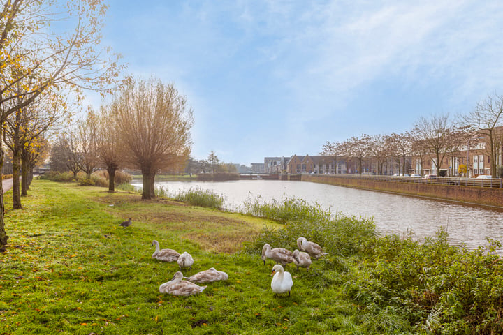 Bekijk foto 40 van Hensenhof 16