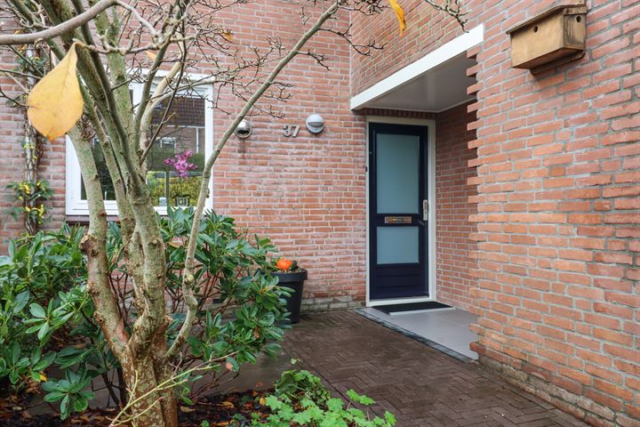 Bekijk foto 2 van Sierksmastraat 37