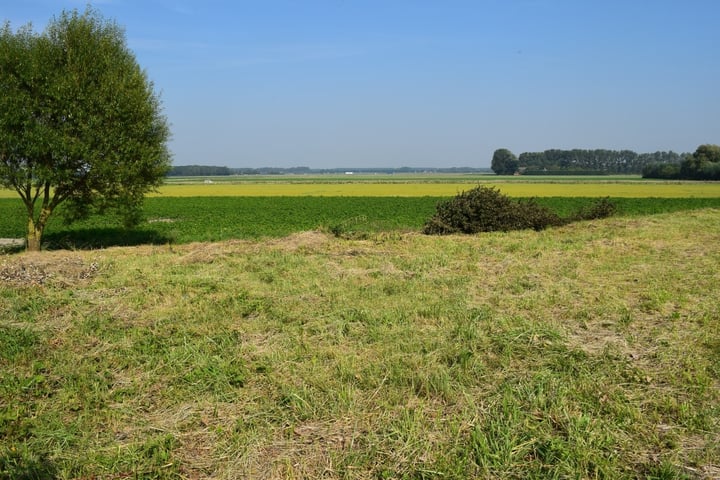 Bekijk foto 1 van Turkeijeweg 33-PLUS