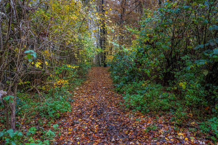 View photo 29 of Achterschouffert 97