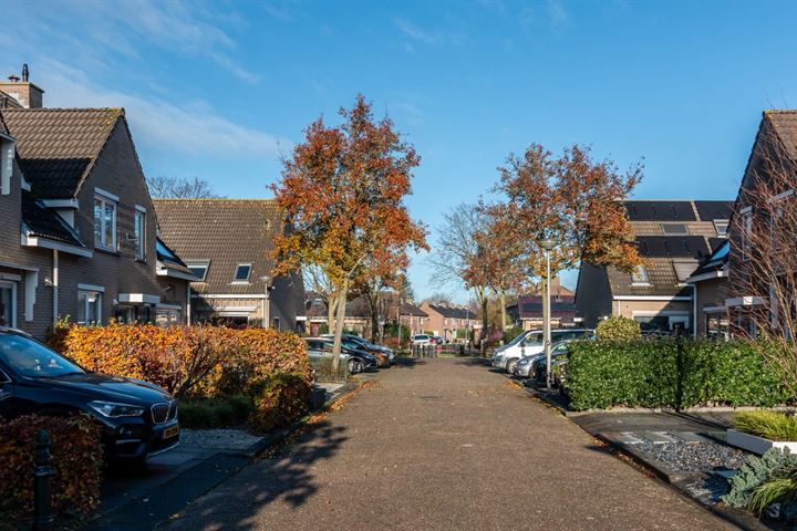 Bekijk foto 5 van N.A. Papestraat 20