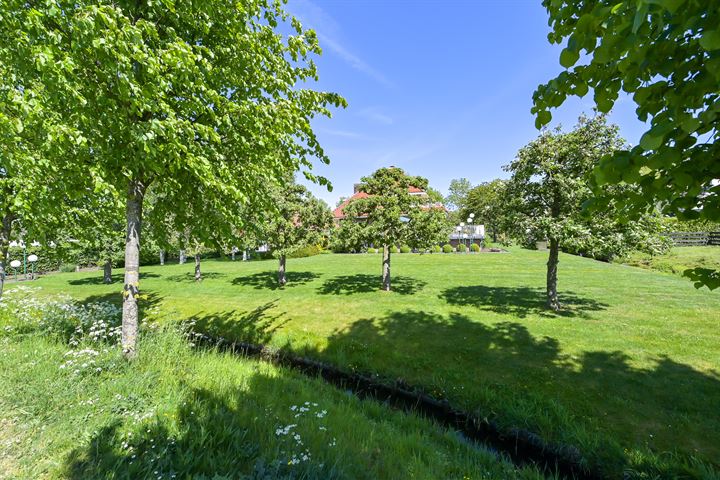 Bekijk foto 48 van Laan van Snelrewaard 10