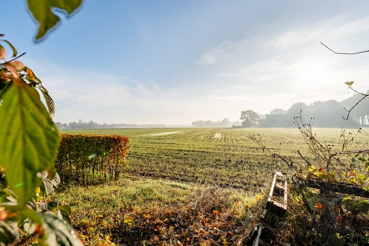 Bekijk foto 40 van Kooiweg 4