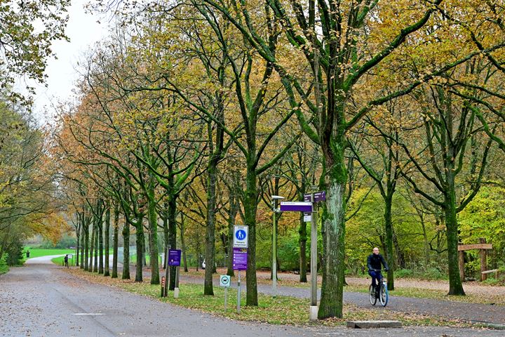 Bekijk foto 44 van Amstelveenseweg 972