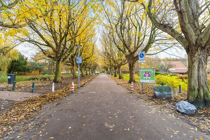 Bekijk foto 32 van Soesterbergstraat 109