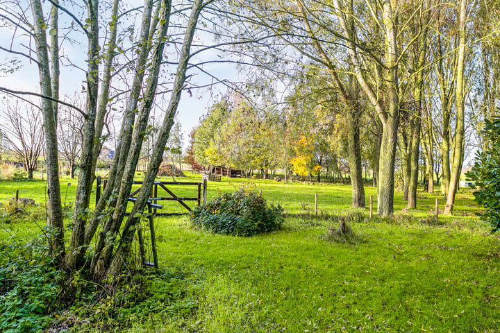 Bekijk foto 43 van Veldweg 17