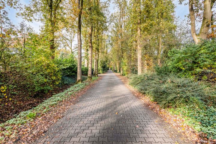 View photo 46 of Rosengaardeweg 22