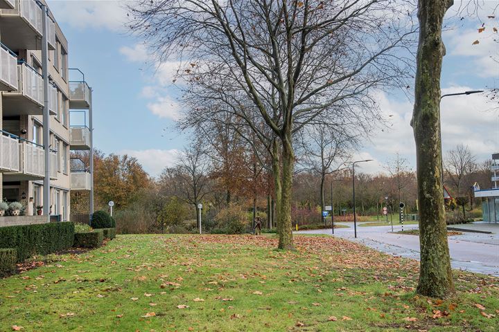 Bekijk foto 31 van von Bönninghausenstraat 133