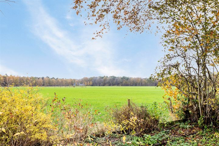 Bekijk foto 3 van Arriërflierweg 7