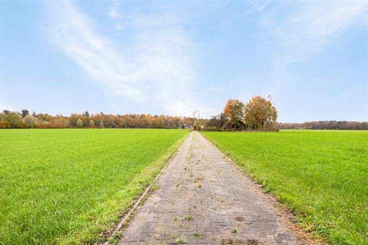 Bekijk foto 40 van Arriërflierweg 7