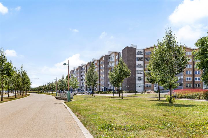 Bekijk foto 11 van Oranjeplein 47-B