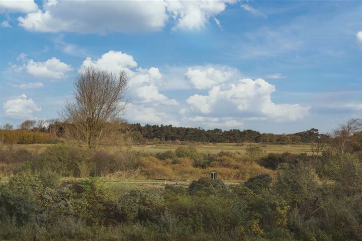 Bekijk foto 6 van Zwolsestraat 381