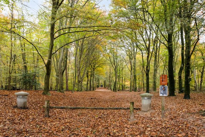 Bekijk foto 37 van Heelsumseweg 36