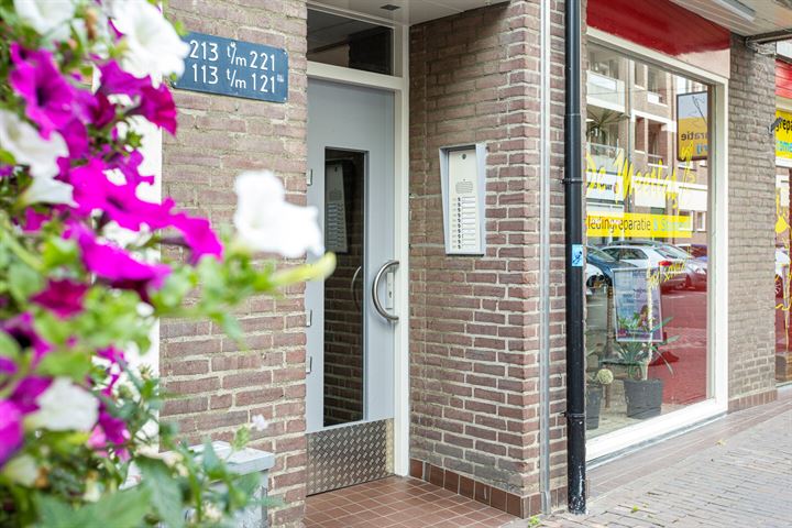 Bekijk foto 17 van Kruisherenstraat 217