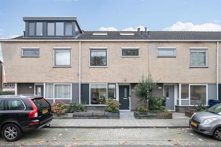 Bekijk foto 1 van Salsastraat 203