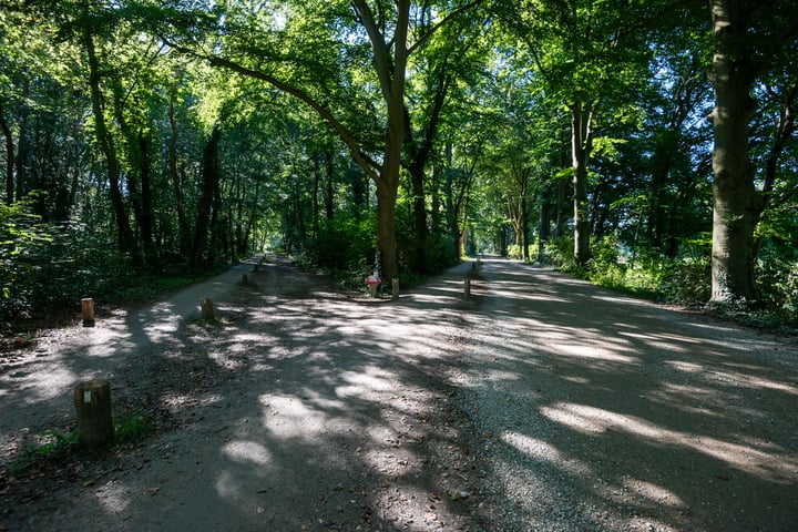 Bekijk foto 4 van Loosdrechtseweg 97