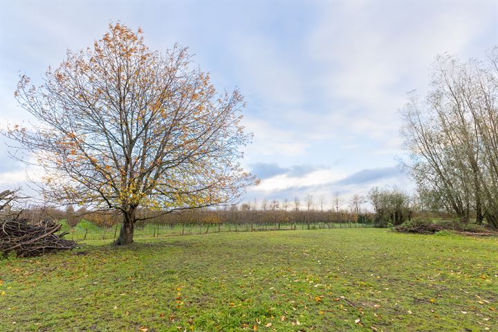 Bekijk foto 5 van Veldensteinlaan