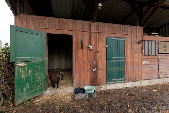 Bekijk foto 9 van Veldensteinlaan