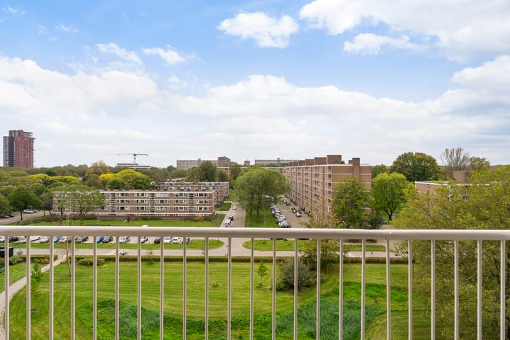 Bekijk foto 16 van Cornelis Bloemaertsingel 51