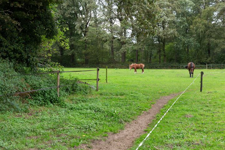 Bekijk foto 3 van Vredenseweg 123