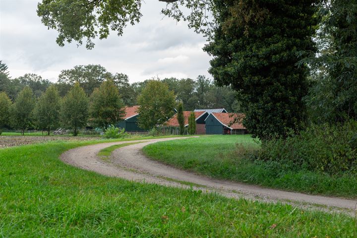 Bekijk foto 81 van Vredenseweg 123