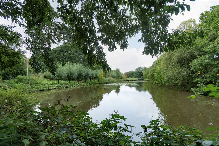 Bekijk foto 46 van Galileïplantsoen 103