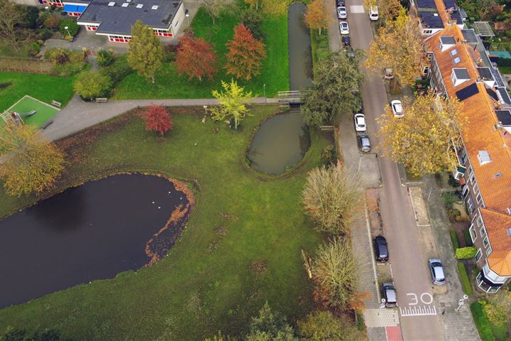 Bekijk foto 41 van Krugerlaan 209