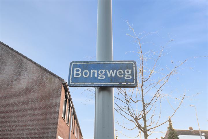 Bekijk foto 60 van Bongweg 282