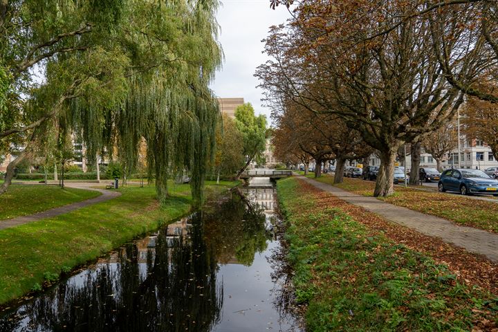 Bekijk foto 9 van Malakkastraat 110